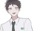  1boy :d brown_hair cheong_(nept1211) collared_shirt danganronpa_(series) danganronpa_2:_goodbye_despair green_necktie grey_shirt hinata_hajime male_focus necktie portrait shirt short_hair simple_background smile solo sweatdrop translation_request white_background 