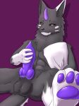 animal_genitalia animal_penis anthro arrier_jewolf canid canine canine_genitalia canine_penis diting_(youshouyan) genitals hi_res male mammal masturbation paws penis solo yellow_eyes youshouyan