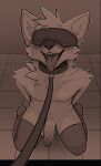 absurd_res anthro azoomer balls blindfold blush canid canine clothing collar digital_media_(artwork) erection fur genitals hair hi_res leash legwear male mammal open_mouth penis simple_background smile solo stockings white_body white_fur