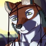 anthro canid canine canis echo_(game) echo_(series) echo_project fur grey_body grey_fur humanoid leo_alvarez looking_at_viewer male mammal meme racingtime244 red_body red_fur serial_experiments_lain shaded shadow simple_background solo soulless_eyes wire wolf