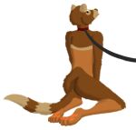  anthro blep butt butt_shot collar domestic_ferret hi_res kneeling leash leashed_male male mammal mustela mustelid musteline solo tongue tongue_out true_musteline weaselclaw werther 