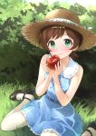  1girl absurdres apple b1ack_illust black_footwear blue_dress blush brown_hair commentary dress food frilled_dress frills fruit grass green_hair hat highres holding holding_food holding_fruit idolmaster idolmaster_million_live! kinoshita_hinata looking_at_viewer outdoors pantyhose short_hair sitting sleeveless sleeveless_dress smile solo straw_hat wariza white_pantyhose 