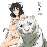  1girl 2022 amagami animal_ears animal_print bikini black_eyes black_hair commentary_request cowboy_shot messy_hair new_year satochi@game simple_background sitting solo swimsuit tail tanamachi_kaoru tiger tiger_ears tiger_print tiger_tail wavy_hair white_background white_bikini white_tiger white_tiger_print 