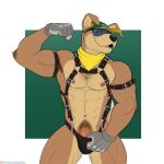 abs anthro armband bandanna bill_grey bulge canid canine canis clothing clothing_pull domestic_dog erection eyewear flexing furgonomics genitals gloves handwear harness hat headgear headwear hi_res humanoid_genitalia humanoid_penis kerchief male mammal mostly_nude muscular muscular_male nintendo nipples pecs penis penis_base smile solo spelunker_sal star_fox sunglasses thong thong_pull underwear underwear_pull