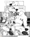 balls bear canid canine canis comic erection fellatio genitals hi_res male male/male mammal misterstallion oral penile penis polar_bear sex ursine wolf