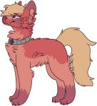 2017 alpha_channel ambiguous_gender black_claws canid canine canis claws collar digital_drawing_(artwork) digital_media_(artwork) digitigrade domestic_dog ear_piercing eyebrows eyelashes fangs feral feral_with_hair flat_colors full-length_portrait fur grey_eyes hair jaspering mammal paws piercing portrait red_body red_fur simple_background snout solo standing tail tan_hair tan_tail teeth transparent_background whisker_spots