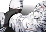  1boy abs animal_ears ao_(chung0u0) arknights bara black_male_underwear bulge cross_scar erection erection_under_clothes feet_out_of_frame furry furry_male highres large_pectorals looking_at_viewer lying male_focus male_underwear mountain_(arknights) muscular muscular_male navel nipples on_back pectorals reward_available scar scar_across_eye scar_on_face scar_on_stomach short_hair solo spread_legs stomach thick_eyebrows thick_thighs thighs tiger_boy tiger_ears topless_male underwear underwear_only white_fur white_hair 