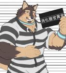 anthro blush bracelet brown_body brown_fur canid canine canis clothing collar domestic_dog eyebrows fur jewelry lifewonders live_a_hero male mammal mugshot muscular muscular_anthro muscular_male nikukyu299paw pattern_clothing pecs prison_uniform pubraseer solo striped_clothing stripes thick_eyebrows