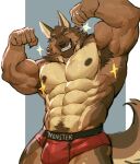  2024 abs absurd_res anthro barazoku biceps big_muscles biped boxers_(clothing) brown_body brown_fur canid canine canis clothing flexing flexing_bicep flexing_both_biceps fur hi_res looking_at_viewer male mammal muscular muscular_anthro muscular_male o_reowoof pecs smile solo underwear wolf 