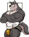  anthro big_muscles biped bodily_fluids bulge canid canine canis clothing darknaigart hi_res jockstrap looking_at_viewer male male_anthro mammal muscular muscular_anthro muscular_male pecs scar shirt smile solo sweat tank_top topwear underwear wolf 
