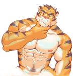  abs anthro areola episode0006 facial_scar felid fur hi_res male mammal muscular muscular_anthro muscular_male nipples nude orange_body orange_fur pantherine pecs scar simple_background solo striped_body striped_fur stripes tiger white_background 