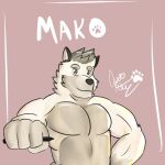  anthro canid canine canis kofu_grizzly_chubby male mammal pencil_(disambiguation) solo white_body wolf 
