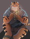  2022 anthro can_tuna clothing felid fireworks hi_res hoodie humanoid_hands kemono male mammal orange_body overweight overweight_male pantherine sitting solo tiger topwear 