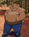  2022 anthro belly black_nose blush bottomwear brown_body brown_fur clothing fur humanoid_hands male mammal moobs nipples outside overweight overweight_male pants real solo sr_panda_86 ursid 