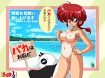  bb blush breasts genderswap kokera nude panda pussy ranma-chan ranma_1/2 saotome_genma saotome_ranma smile tan uncensored 