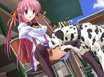  1girl aihara_sarina bestiality censored cunnilingus dalmatian delta dog female girl green_eyes leo_(shiiku_hakusho) oral pink_hair shiiku_hakusho shiiku_hakusho_-_kusari_ni_tsunagareta_doukyuusei thighhighs 