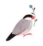  animal animal_focus artist_name beak_hold bird blue_flower finch flower flower_in_mouth from_side full_body hirasawa_minami holding holding_flower java_sparrow mouth_hold no_humans no_lineart original profile simple_background solo standing white_background 