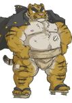  2022 anthro asian_clothing band-aid bandage belly clothing east_asian_clothing felid footwear japanese_clothing kemono kimagure_monja male mammal mawashi moobs navel nipples overweight overweight_male pantherine pink_nose sandals scar solo tiger white_body yellow_body 