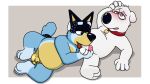  &lt;3 &lt;3_eyes 2022 anthro balls bandit_heeler black_nose blue_body bluey_(series) brian_griffin canid canine canis domestic_dog duo erection family_guy genitals hi_res humanoid_genitalia humanoid_hands humanoid_penis licking male male/male mammal neenya oral penile penis penis_lick sex slightly_chubby small_penis tongue tongue_out white_body 