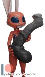  absurd_res animal_genitalia animal_penis big_dildo clothing comorito dildo disney equine_penis female genitals hi_res judy_hopps lagomorph leporid mammal penis rabbit rubber rubber_clothing rubber_suit sex_toy solo zootopia 