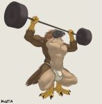  abs accipitrid accipitriform anthro armpit_hair avian beak biceps bird body_hair bulge claws clothing crouching eagle exercise feathers hi_res jockstrap kotia looking_at_viewer male muscular muscular_anthro muscular_male open_mouth pecs philippine_eagle pirate_eagle raised_arm raised_leg simple_background solo talon_hands talons underwear weightlifting weights workout 