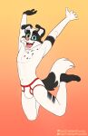  absurd_res anthro arms_above_head athletic black_body black_fur border_collie briefs bulge canid canine canis clothing collie domestic_dog fur happy herding_dog hi_res jumping looking_at_viewer male mammal pastoral_dog sebtheredpanda sheepdog solo teeth underwear white_body white_fur 