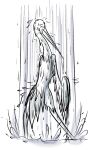  2016 avian bird crane_(bird) dreamworks eyes_closed feathers feral gruiform hi_res kung_fu_panda male master_crane nude showering solo tail_feathers wet wings 