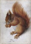  1578 16th_century 5_toes absurd_res ambiguous_gender ancient_art brown_body brown_fur claws eurasian_red_squirrel feet feral fluffy fluffy_tail fur gouache_(artwork) hans_hoffmann hi_res mammal no_sclera nude painting_(artwork) public_domain rodent sciurid simple_background sitting solo toe_claws toes traditional_media_(artwork) tree_squirrel watercolor_(artwork) whiskers white_background 