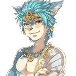  anthro blue_body blue_fur blue_hair brown_eyes canid canine crossed_arms fox fur hair jewelry koei_tecmo looking_at_viewer male mammal multicolored_body multicolored_fur necklace saikin_san setsuna_(warrior_stars) simple_background smile smiling_at_viewer solo two_tone_body two_tone_fur warriors_(game_series) warriors_all-stars white_body white_fur 