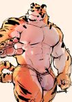  abs anthro biceps big_muscles bulge clothed clothing digital_media_(artwork) felid fur genitals hi_res looking_at_viewer male mammal mixvariety muscular muscular_anthro muscular_male nipples pantherine pecs penis simple_background solo tiger translucent translucent_clothing underwear wet wet_clothing 