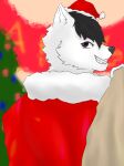  angel_wolf_(angel_generations) anthro black_hair brown_eyes canid canine canis christmas christmas_clothing christmas_headwear christmas_tree clothing costume fluffy fur hair hat headgear headwear holidays looking_at_viewer male mammal merry_christmas perioddot plant playful_face red_clothing santa_costume santa_hat sharp_teeth simple_background smile solo teeth tree white_body white_fur wolf 