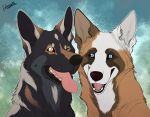  ambiguous_gender canid canine canis domestic_dog duo face_only feral fur german_shepherd herding_dog hybernation mammal multicolored_body multicolored_fur one_eye_closed pastoral_dog tongue tongue_out 