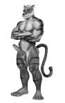  absurd_res anthro big_penis erection felid fullmoon1 genitals hi_res male mammal muscular muscular_male pantherine penis solo tiger 