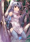  1girl animal_ears apron bare_shoulders brown_eyes commentary_request elbow_gloves fur_collar gloves grey_gloves grey_hair grey_legwear in_tree kemono_friends kemono_friends_3 koala_(kemono_friends) looking_away official_art sitting sitting_in_tree smile solo tadano_magu thighhighs tree white_apron 