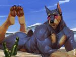  anthro beach biceps black_body black_fur black_nose bottle bubble_butt butt canid canine canis claws dobermann domestic_dog eyewear fur glasses hi_res looking_at_viewer male mammal muscular mystikfox61 pinscher pose seaside yellow_body yellow_fur 