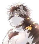  1boy animal_ears backlighting bangs bara chest_hair furry furry_male grey_fur grey_hair horkeu_kamui large_pectorals male_focus multicolored_hair muscular muscular_male no_headwear nude pectorals scar scar_on_chest short_hair solo tokyo_afterschool_summoners two-tone_fur two-tone_hair upper_body white_background white_fur wolf_boy wolf_ears yanutorie yellow_eyes 