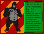  anthro ape autry autry(stephen_arts) border character_bio feet foot_fetish gorilla haplorhine hi_res humanoid macro male mammal musclegut muscular primate red_border solo stephen_arts 