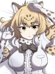  1girl animal_ears arms_up black_bow black_bowtie bow bowtie breast_pocket breasts brown_eyes elbow_gloves eyebrows_visible_through_hair gloves gradient_hair highres jaguar_(kemono_friends) jaguar_ears jaguar_girl jaguar_print jaguar_tail kemono_friends kimurayou103 large_breasts looking_at_viewer lying multicolored_hair on_back orange_hair pocket short_sleeves solo tail white_gloves white_hair 