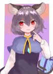  1girl absurdres animal_ears bangs blue_capelet blush border breasts capelet closed_mouth commentary_request cowboy_shot crystal dress eyebrows_visible_through_hair gift grey_dress grey_hair highres holding holding_with_tail jewelry long_sleeves looking_at_viewer mouse_ears mouse_girl mouse_tail nazrin outside_border pendant pointing pointing_at_self prehensile_tail red_eyes shirt short_hair sleeveless sleeveless_dress small_breasts solo tail touhou white_border white_shirt yanagi_(isiryu230) 