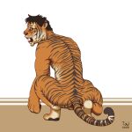  2022 balls butt crouching felid feral fur genitals glowing glowing_eyes hair hi_res human humanoid looking_aside male mammal nude pantherine pawpads paws rear_view sharp_teeth snout solo species_transformation striped_body striped_fur stripes taitora teeth tiger transformation were werefelid werepantherine weretiger 