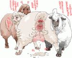  3girls animal anus bestiality blush brown_eyes edit female fur furry gaping hooves multiple_girls nezumi nezunezu photoshop presenting pussy sheep text tongue translated translation_request wet 