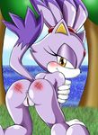  animal_ears anus ass barefoot blaze_the_cat blush feet furry nude outdoors outside paws pussy smile soles solo sonic_the_hedgehog spanked tail 