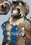  anthro bra breasts canid canine clothing female hi_res mammal multi_breast raccoon_dog reference_image reference_photo shion_humine smile snout solo tanuki underwear 