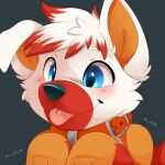  anthro blue_eyes blush canid canine collar feral feve hi_res male mammal paws raised_paw red_muzzle solo tail_motion tailwag tongue tongue_out 