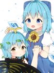  2girls antennae antidote aqua_hair blue_bow blue_dress blue_eyes blue_hair blush bow brown_eyes butterfly_wings cirno collared_shirt detached_wings dress eternity_larva eyebrows_visible_through_hair fairy fang flower hair_between_eyes hair_bow ice ice_wings leaf leaf_on_head multicolored_clothes multicolored_dress multiple_girls open_mouth parted_lips puffy_short_sleeves puffy_sleeves shirt short_hair short_sleeves simple_background smile sunflower touhou white_background white_shirt wings yellow_flower 