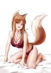  1girl animal_ears barefoot bed blush breasts brown_hair highres holo kneeling large_breasts lingerie looking_at_viewer open_mouth red_eyes revealing_clothes shizuko_hideyoshi smile solo spice_and_wolf tail thighs underwear wolf_ears wolf_girl wolf_tail 