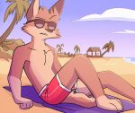  2021 anthro beach brown_body brown_fur canid canine clothing cloud eyebrows eyewear fence fox fur hi_res jaybeyyy male mammal palm_tree plant raised_eyebrow sand seaside shoreline solo sunglasses swimwear towel tree 