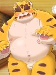  2022 5groo5 anthro balls belly blush cute_fangs eyes_closed felid genitals hi_res humanoid_hands kemono male mammal moobs navel nipples overweight overweight_male pantherine penis puss3250 small_penis solo tiger 