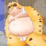  2022 anthro balls belly blush felid flaccid genitals hi_res humanoid_genitalia humanoid_hands humanoid_penis kemono male mammal moobs nipples overweight overweight_male pantherine penis puss3250 small_penis solo tiger towel 