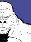  2021 ape feral gorilla half_face haplorhine hi_res king_kong looking_at_viewer male mammal primate reagan700 solo 